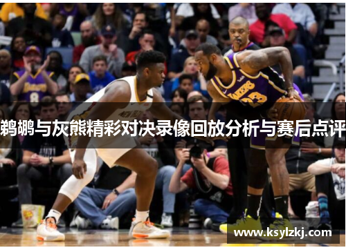 鹈鹕与灰熊精彩对决录像回放分析与赛后点评